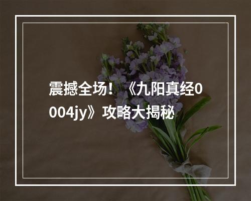 震撼全场！《九阳真经0004jy》攻略大揭秘