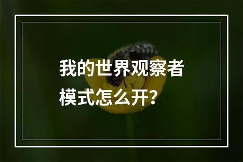 我的世界观察者模式怎么开？