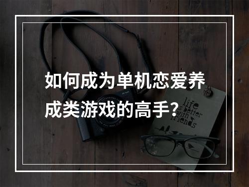 如何成为单机恋爱养成类游戏的高手？