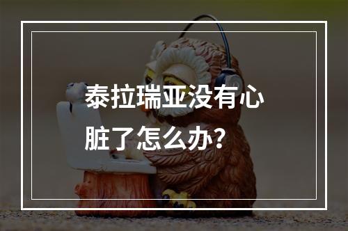 泰拉瑞亚没有心脏了怎么办？