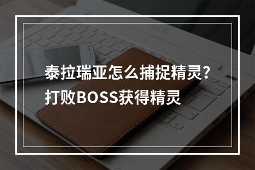 泰拉瑞亚怎么捕捉精灵？打败BOSS获得精灵