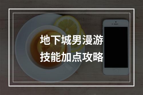 地下城男漫游技能加点攻略