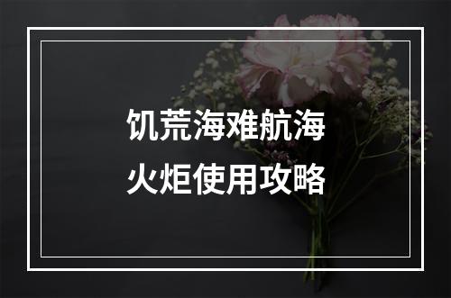 饥荒海难航海火炬使用攻略