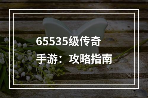 65535级传奇手游：攻略指南