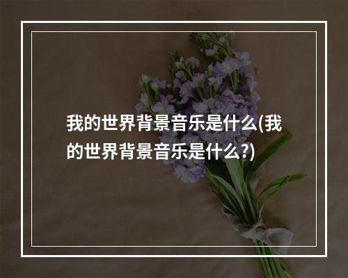 我的世界背景音乐是什么(我的世界背景音乐是什么?)