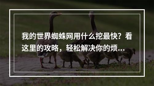 我的世界蜘蛛网用什么挖最快？看这里的攻略，轻松解决你的烦恼！