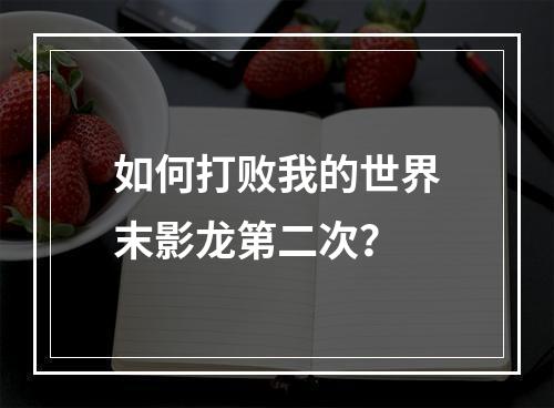 如何打败我的世界末影龙第二次？