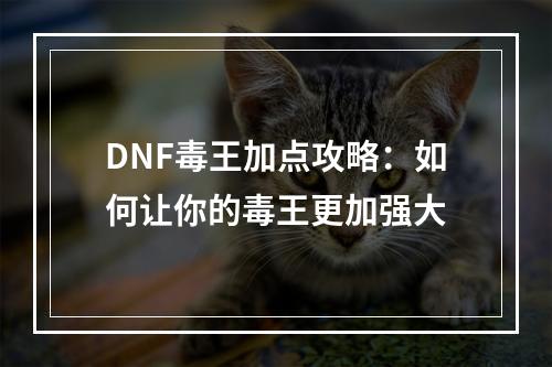 DNF毒王加点攻略：如何让你的毒王更加强大