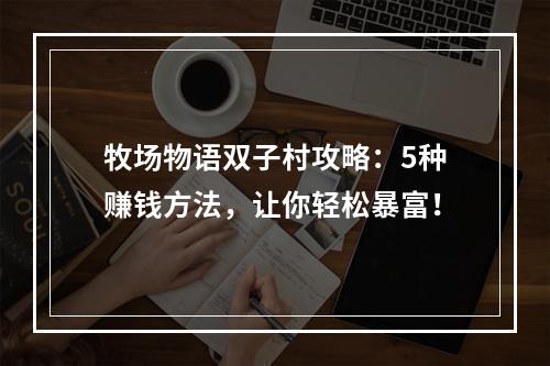 牧场物语双子村攻略：5种赚钱方法，让你轻松暴富！