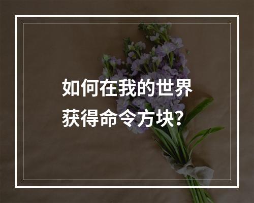 如何在我的世界获得命令方块？