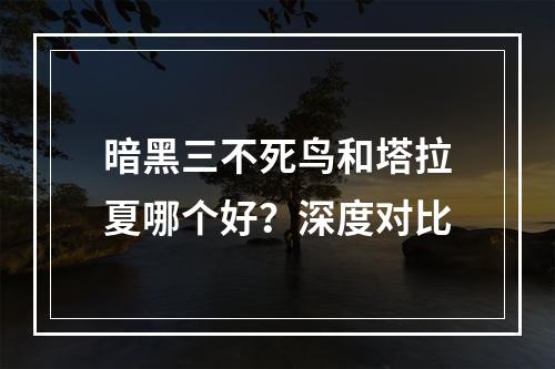 暗黑三不死鸟和塔拉夏哪个好？深度对比