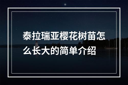 泰拉瑞亚樱花树苗怎么长大的简单介绍