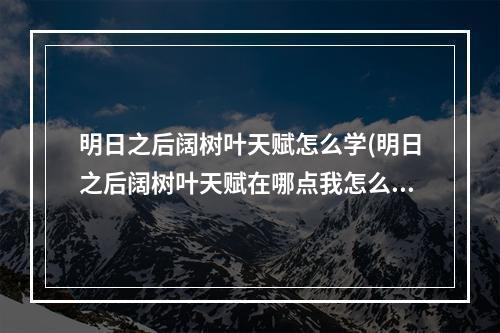 明日之后阔树叶天赋怎么学(明日之后阔树叶天赋在哪点我怎么做)