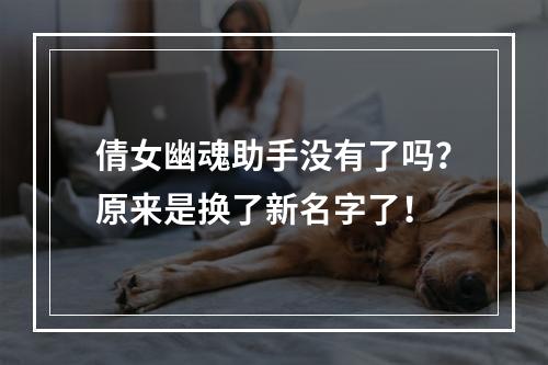 倩女幽魂助手没有了吗？原来是换了新名字了！