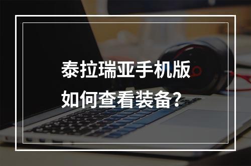 泰拉瑞亚手机版如何查看装备？