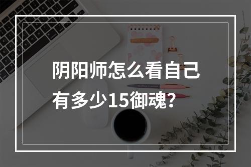 阴阳师怎么看自己有多少15御魂？