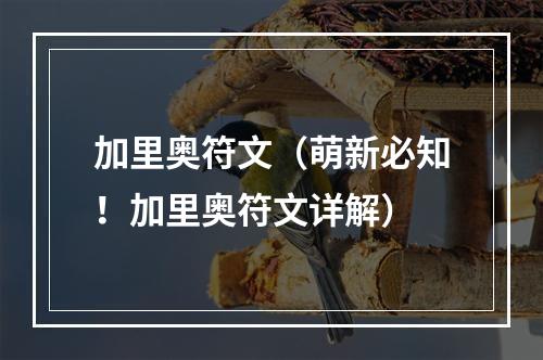 加里奥符文（萌新必知！加里奥符文详解）