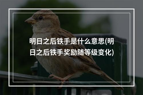 明日之后铁手是什么意思(明日之后铁手奖励随等级变化)