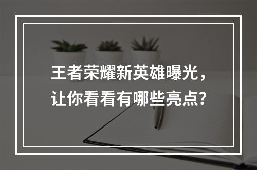 王者荣耀新英雄曝光，让你看看有哪些亮点？