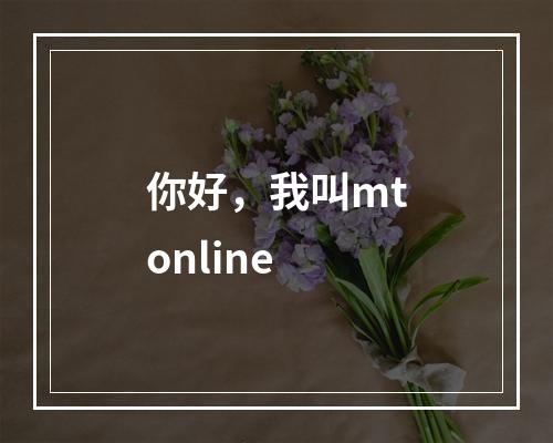 你好，我叫mtonline