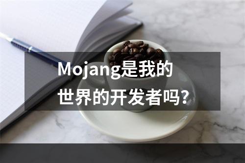 Mojang是我的世界的开发者吗？