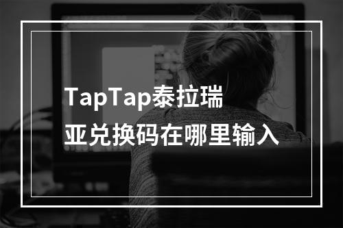 TapTap泰拉瑞亚兑换码在哪里输入