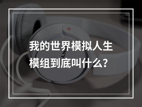 我的世界模拟人生模组到底叫什么？