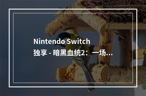 Nintendo Switch独享 - 暗黑血统2：一场充满惊喜的盛宴