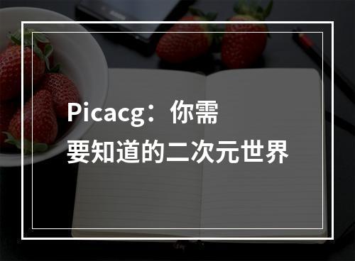 Picacg：你需要知道的二次元世界