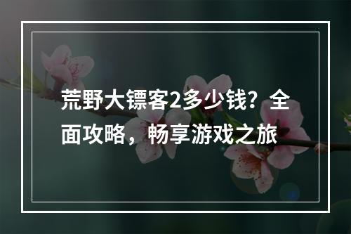 荒野大镖客2多少钱？全面攻略，畅享游戏之旅