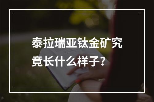 泰拉瑞亚钛金矿究竟长什么样子？