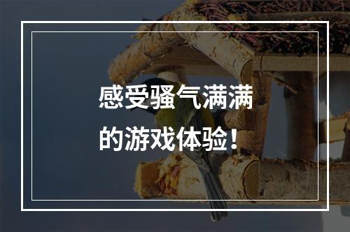 感受骚气满满的游戏体验！