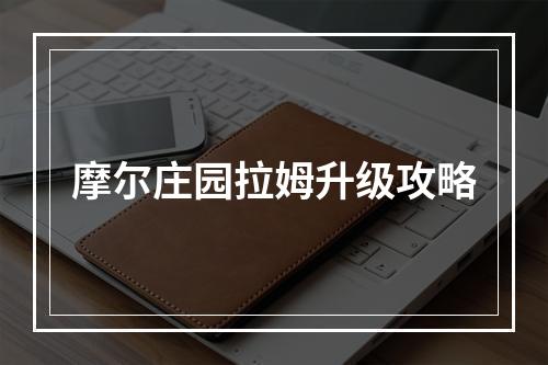 摩尔庄园拉姆升级攻略