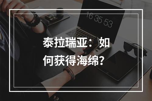 泰拉瑞亚：如何获得海绵？