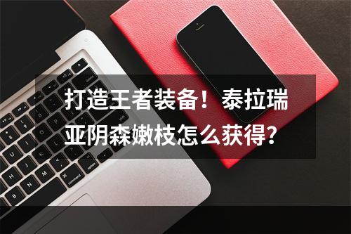 打造王者装备！泰拉瑞亚阴森嫩枝怎么获得？