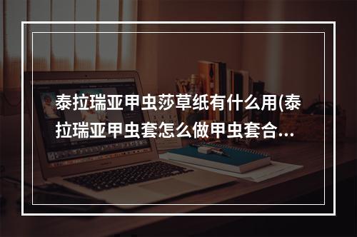 泰拉瑞亚甲虫莎草纸有什么用(泰拉瑞亚甲虫套怎么做甲虫套合成所需材料说明)