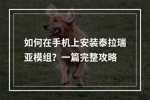 如何在手机上安装泰拉瑞亚模组？一篇完整攻略