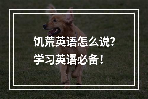 饥荒英语怎么说？学习英语必备！