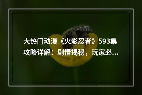 大热门动漫《火影忍者》593集攻略详解：剧情揭秘，玩家必看！