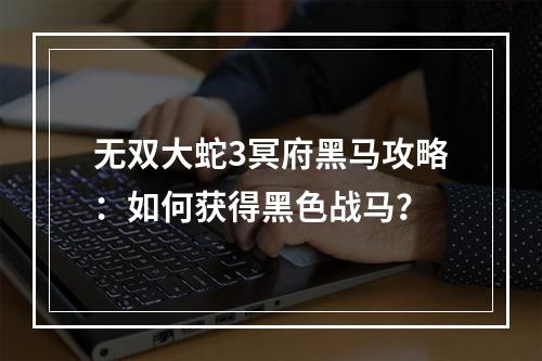 无双大蛇3冥府黑马攻略：如何获得黑色战马？