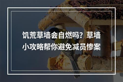 饥荒草墙会自燃吗？草墙小攻略帮你避免减员惨案