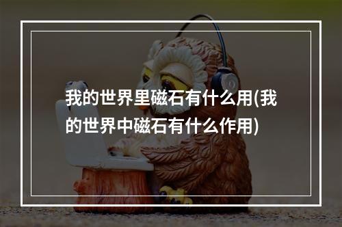 我的世界里磁石有什么用(我的世界中磁石有什么作用)