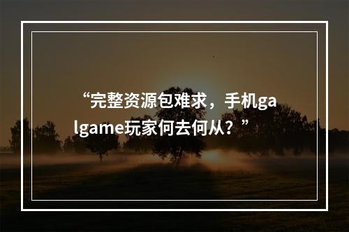 “完整资源包难求，手机galgame玩家何去何从？”