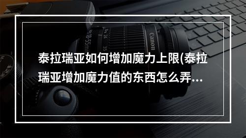 泰拉瑞亚如何增加魔力上限(泰拉瑞亚增加魔力值的东西怎么弄)