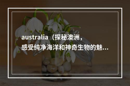 australia（探秘澳洲，感受纯净海洋和神奇生物的魅力）