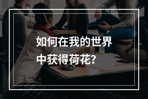 如何在我的世界中获得荷花？