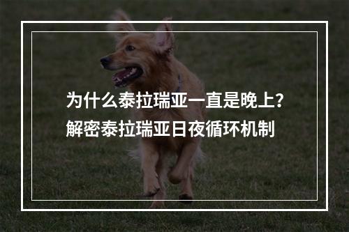 为什么泰拉瑞亚一直是晚上？解密泰拉瑞亚日夜循环机制