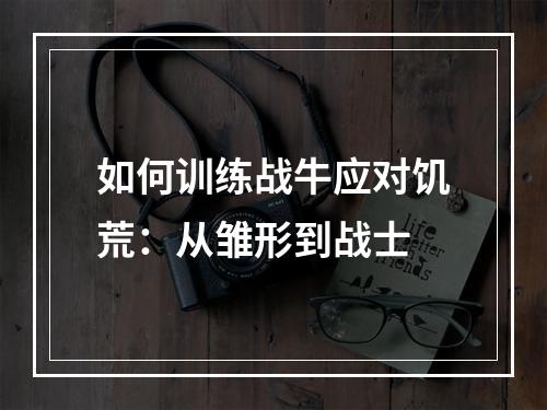 如何训练战牛应对饥荒：从雏形到战士