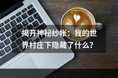 揭开神秘纱帐：我的世界村庄下隐藏了什么？