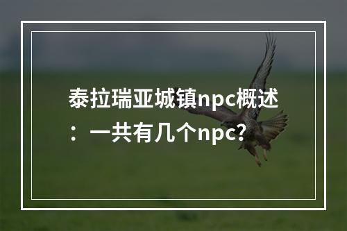 泰拉瑞亚城镇npc概述：一共有几个npc？